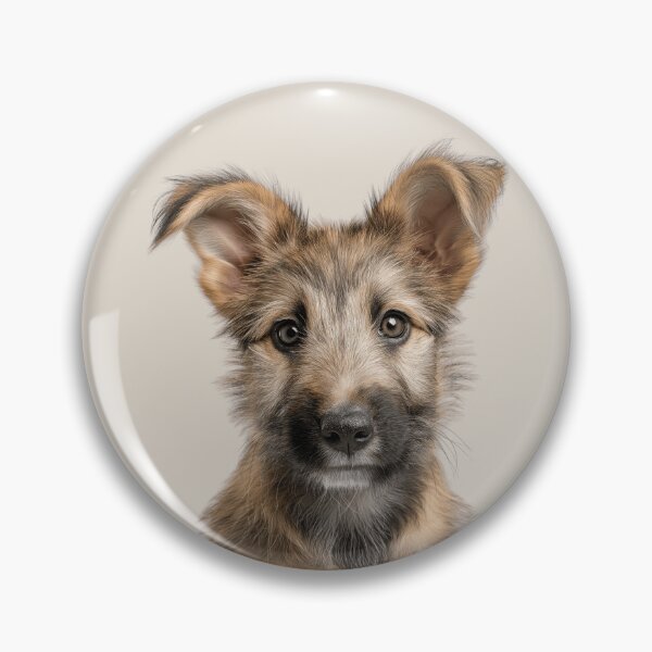Item preview, Adorable Berger Picard puppy for Cute Picard puppy lovers designed and sold by LazyOwlStore.