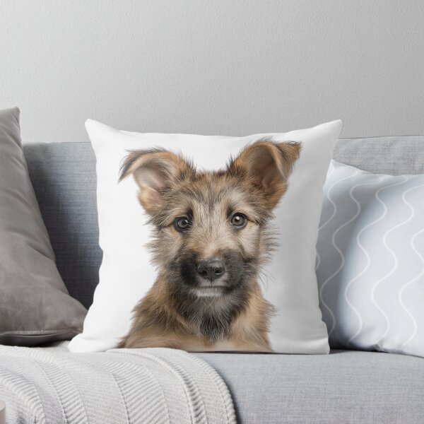 Item preview, Adorable Berger Picard puppy for Cute Picard puppy lovers designed and sold by LazyOwlStore.