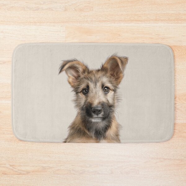 Item preview, Adorable Berger Picard puppy for Cute Picard puppy lovers designed and sold by LazyOwlStore.