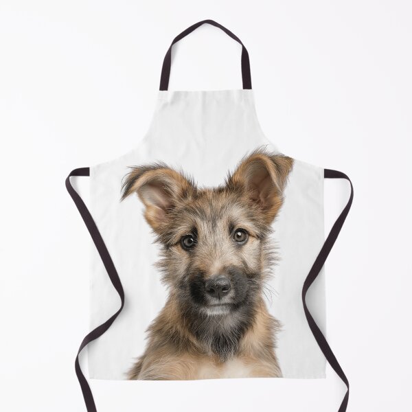 Item preview, Adorable Berger Picard puppy for Cute Picard puppy lovers designed and sold by LazyOwlStore.