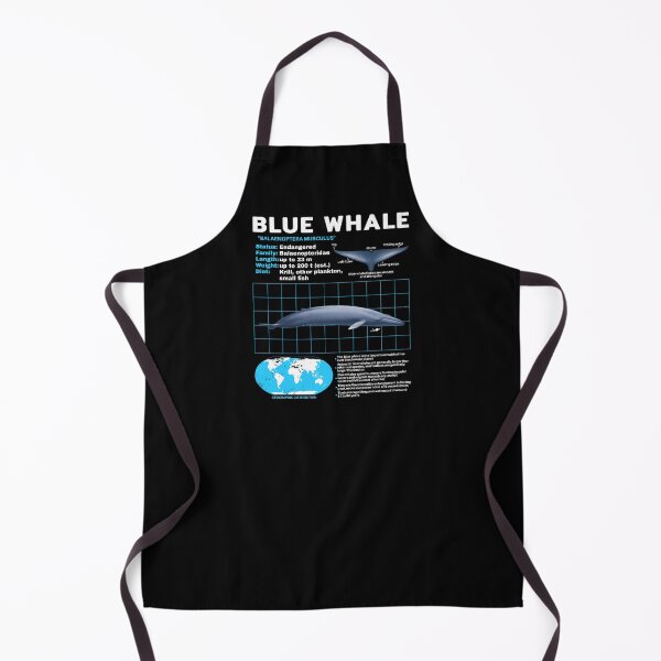 Item preview, Blue Whale Fact Sheet designed and sold by NicGrayGraphic.