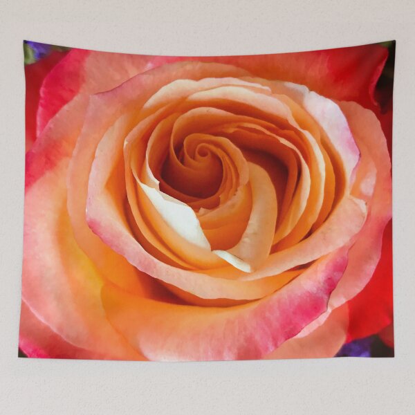 Item preview, Romantic Pink Rose With Ecru Highlights Close-Up designed and sold by DEC02.