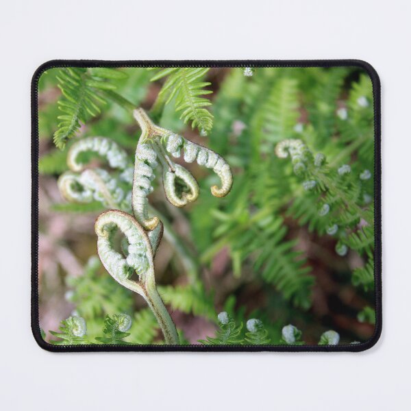 Item preview, fern designed and sold by KathleenDawson.
