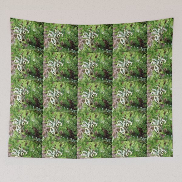 Item preview, fern designed and sold by KathleenDawson.
