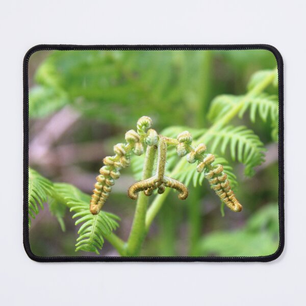 Item preview, fern designed and sold by KathleenDawson.