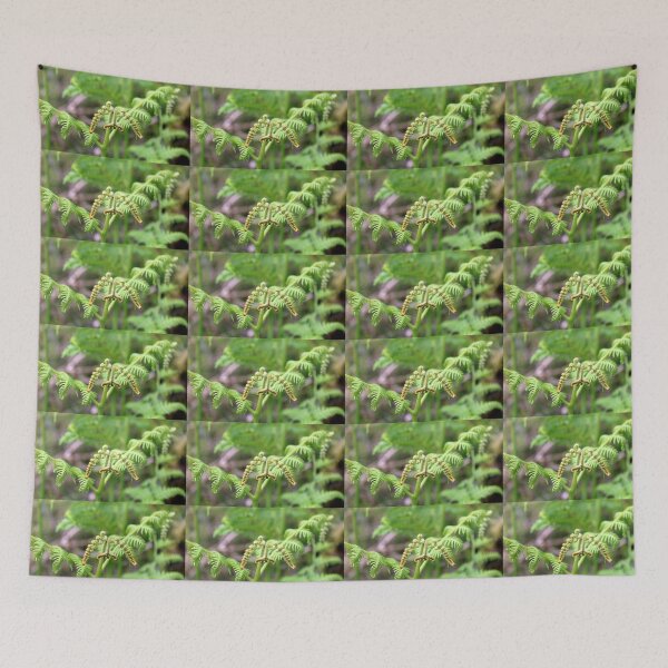 Item preview, fern designed and sold by KathleenDawson.