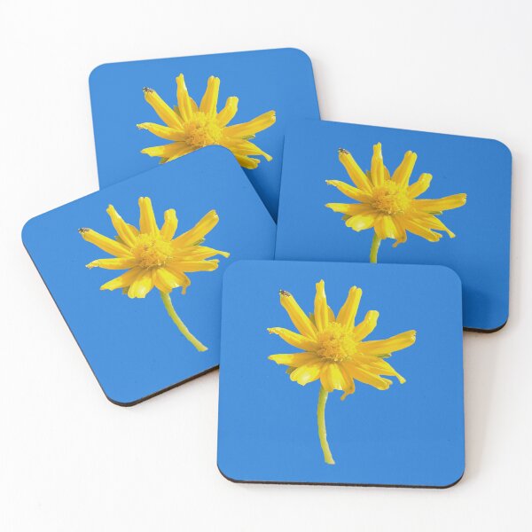 Item preview, Cute Sunny Yellow Flower Photo designed and sold by Deep Descent.