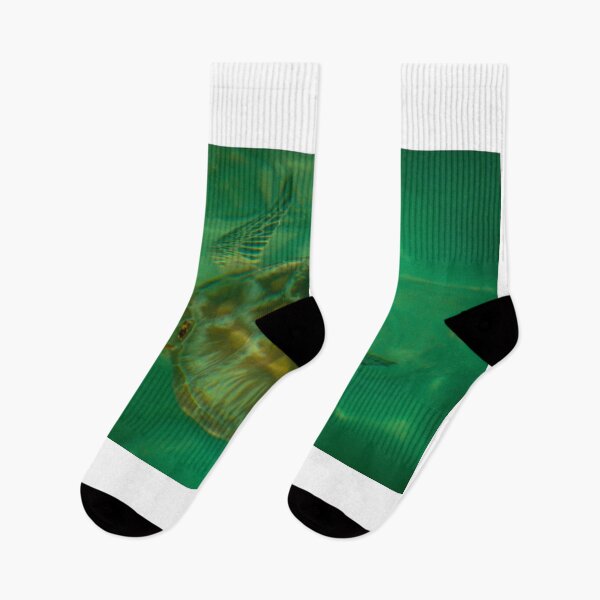 Item preview, Sea Turtle  designed and sold by D-GaP.