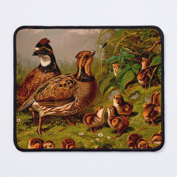 Item preview, THE CHICKEN FAMILY designed and sold by THE GOOD FIND.