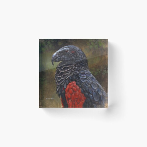 Item preview, Artistic Shopee Food cParrot Showcases Feather Perfection designed and sold by lekhacitylight.