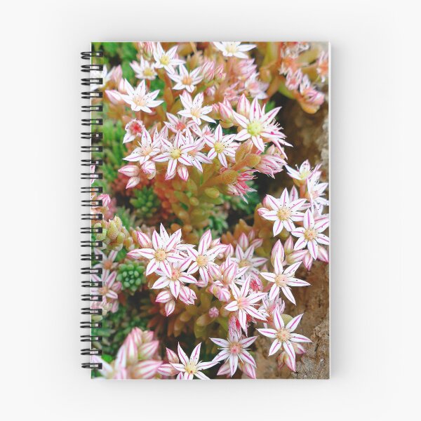 Item preview, Cute Pink Stonecrop Flowers Found in Delphi Greece designed and sold by jaynerushton.
