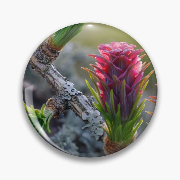 Item preview, Vibrant Pine Cones and Buds designed and sold by Veikko  Suikkanen.