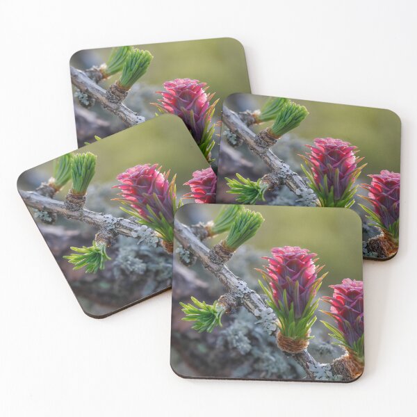 Item preview, Vibrant Pine Cones and Buds designed and sold by Veikko  Suikkanen.