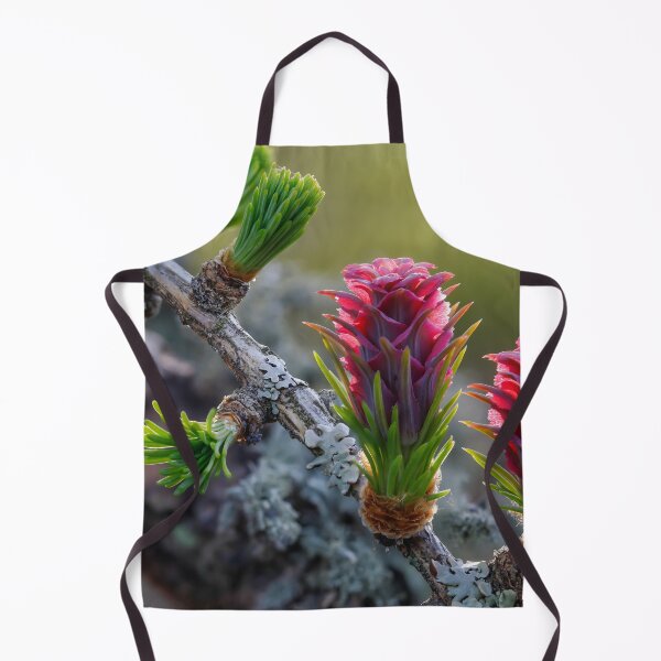 Item preview, Vibrant Pine Cones and Buds designed and sold by Veikko Suikkanen.