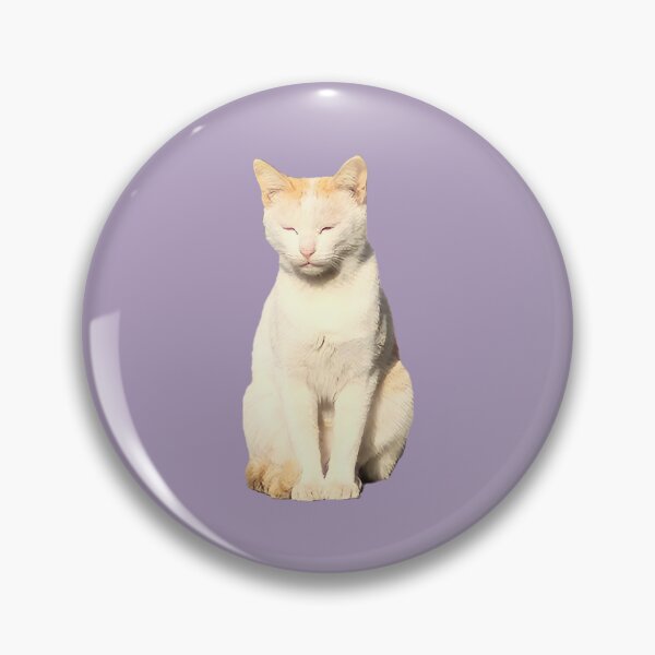 Item preview, Sun-kissed Turkish Van Cat Sleeping Peacefully Photo designed and sold by Deep Descent.