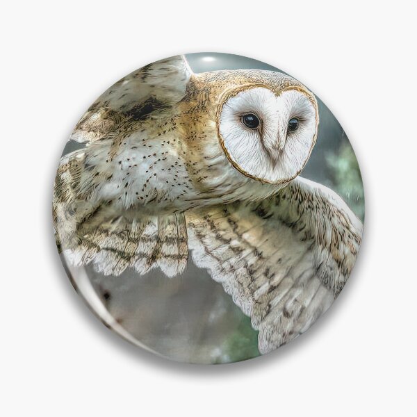 Item preview, Barn Owl Hunting designed and sold by Brian Tarr.