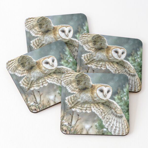 Item preview, Barn Owl Hunting designed and sold by Brian Tarr.