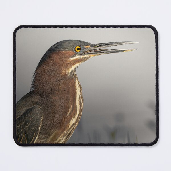 Item preview, Green Heron Wildlife Bird Watching Nature Lover designed and sold by G1sselPkan.