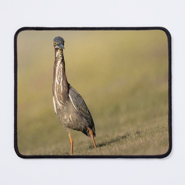 Item preview, Heron Birdwatching Nature Lover designed and sold by G1sselPkan.