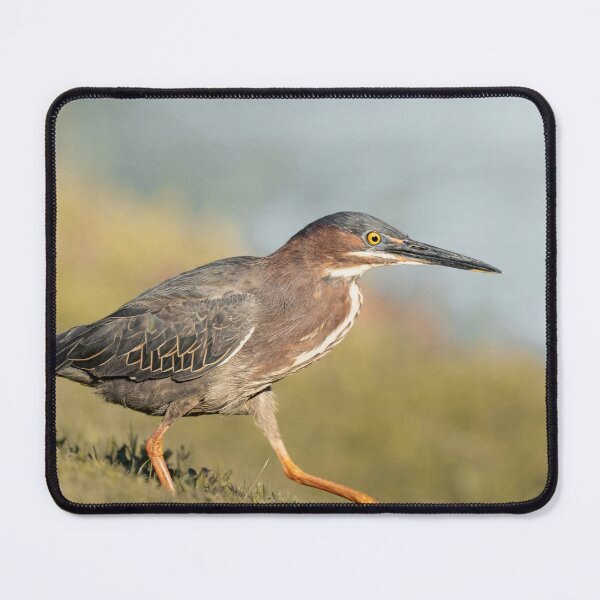 Item preview, Green Heron Bird Watching Nature Lover designed and sold by G1sselPkan.
