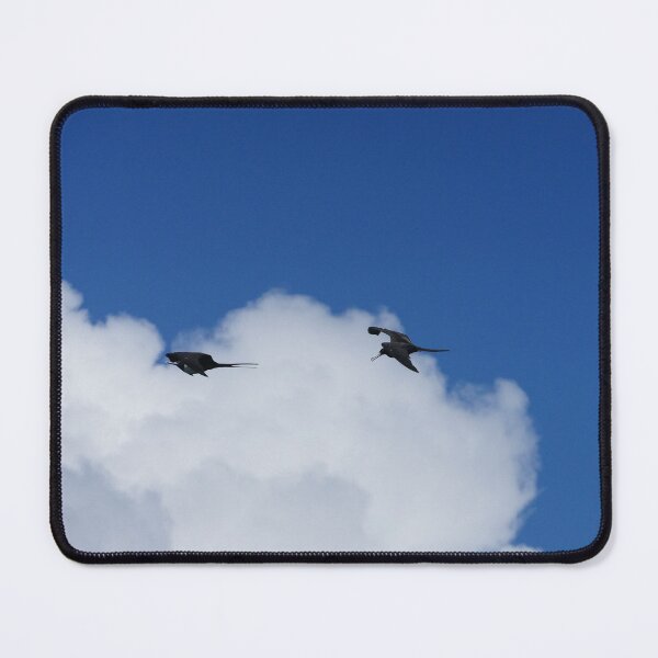 Item preview, Two Frigate Birds designed and sold by Malcolm Snook.