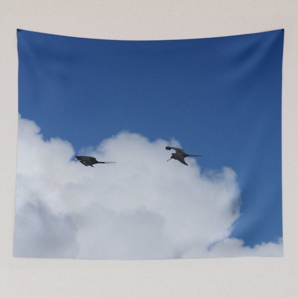 Item preview, Two Frigate Birds designed and sold by Malcolm Snook.