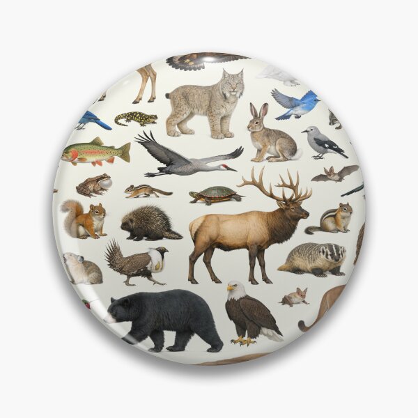 Item preview, Animals of Colorado Retro Style Identification Chart designed and sold by kakarikihill.