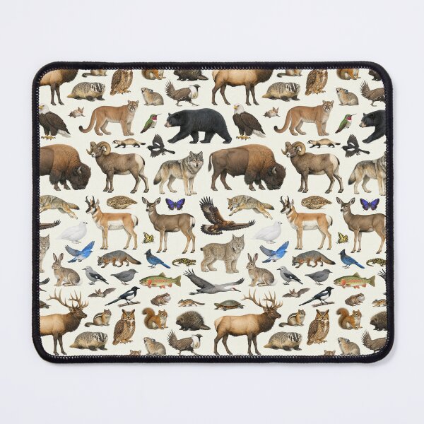 Item preview, Animals of Colorado Retro Style Identification Chart designed and sold by kakarikihill.