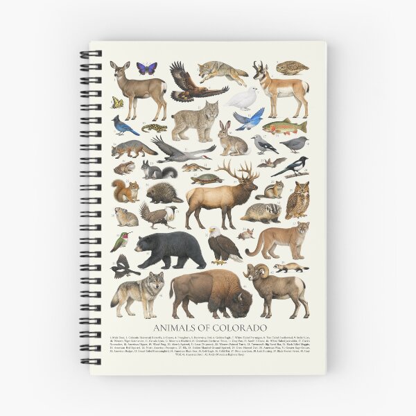 Item preview, Animals of Colorado Retro Style Identification Chart designed and sold by kakarikihill.