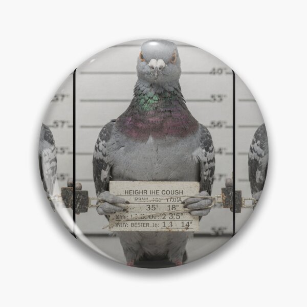 Item preview, Pigeon Crime Boss Mugshot designed and sold by PictorialWhimsy.