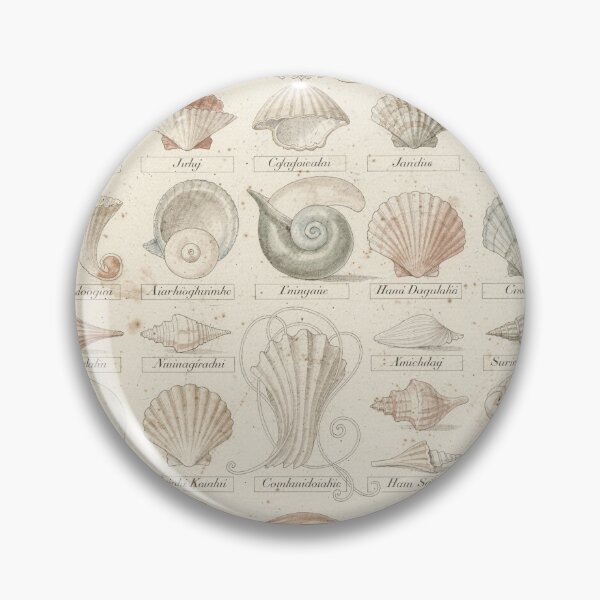 Item preview, Antique Seashell Conchology Plate designed and sold by PictorialWhimsy.