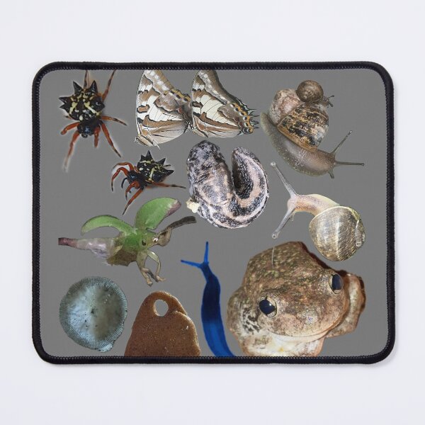 Item preview, Australian Mini Beasts and Wildlife Collage designed and sold by BeesBarn.