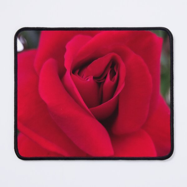 Item preview, Majestic Red Rose Blooming On A Cloudy Day designed and sold by vtspatial.