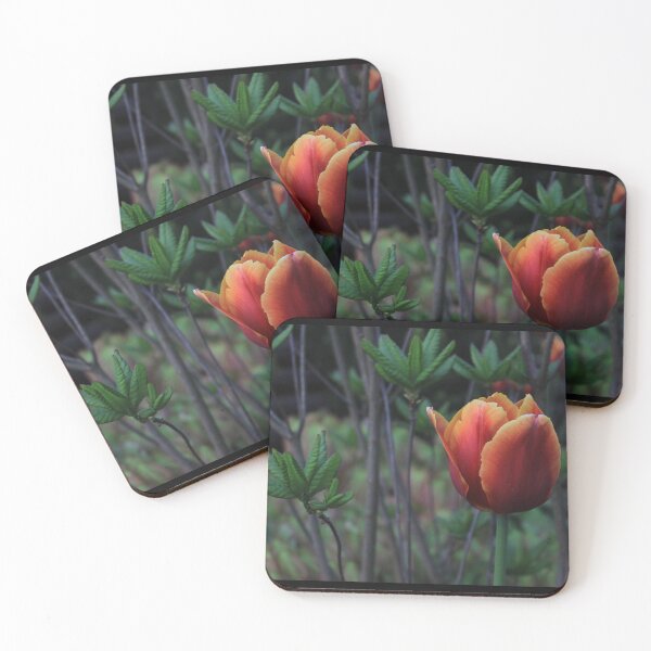 Item preview, Tulip designed and sold by Pellagia.
