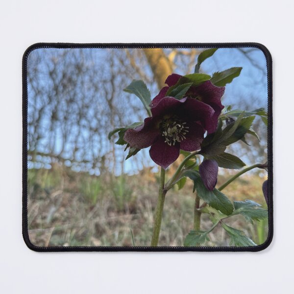 Item preview, Cotswold Countryside 38 designed and sold by Pretty Cotswold Designs.
