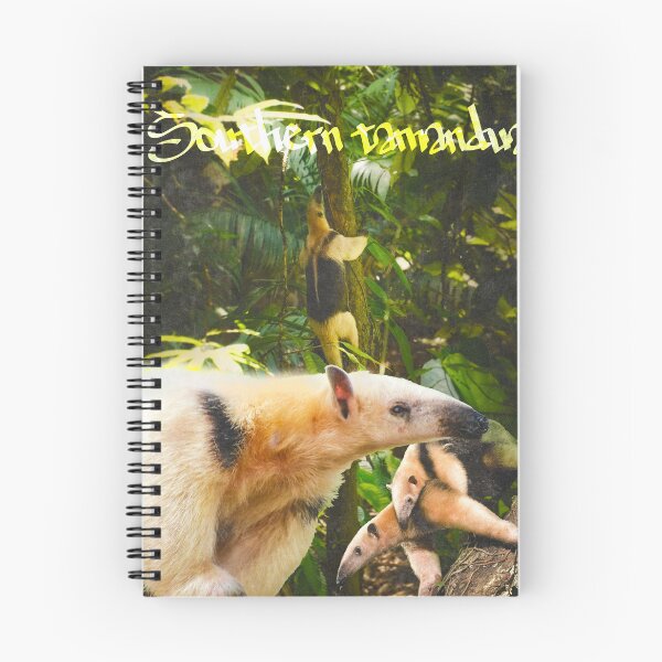Item preview, Southern tamandua - collared anteater poster designed and sold by Kajzu.