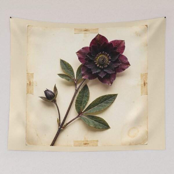 Item preview, Midnight Herbarium III – Black Hellebore designed and sold by Roberta Calabrese.