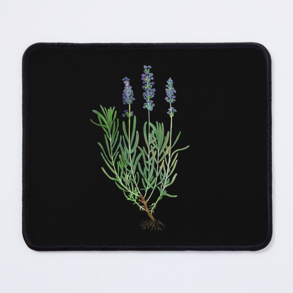 Item preview, Lavender designed and sold by katherineblower.