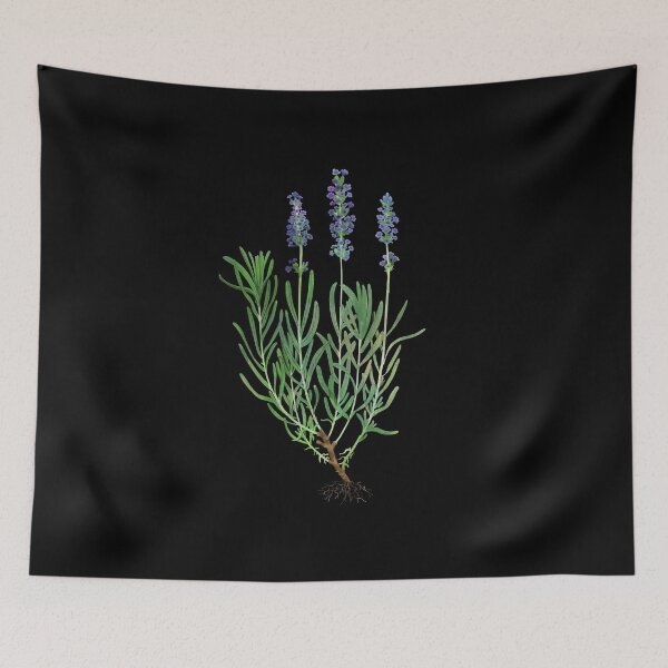 Item preview, Lavender designed and sold by katherineblower.
