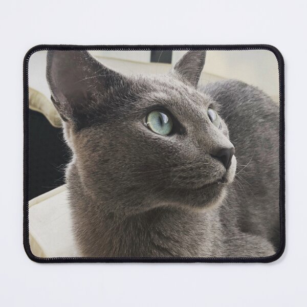 Item preview, Curious Russian Blue Cat designed and sold by SilverBlueCat.