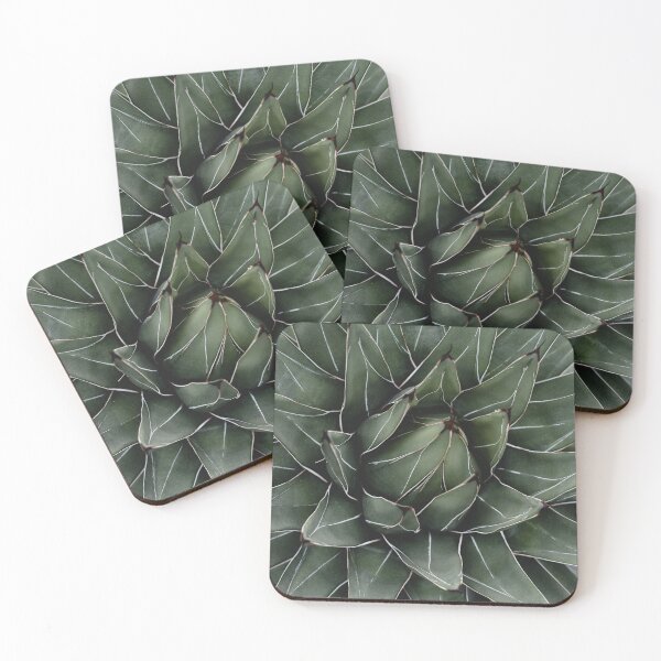 Item preview, Minimalist Agave Succulent Plant Photo designed and sold by ReneJordaan.