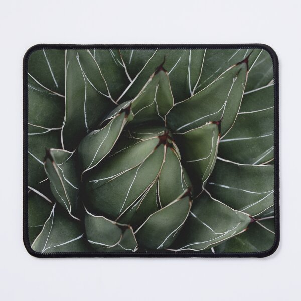 Item preview, Minimalist Agave Succulent Plant Photo designed and sold by ReneJordaan.