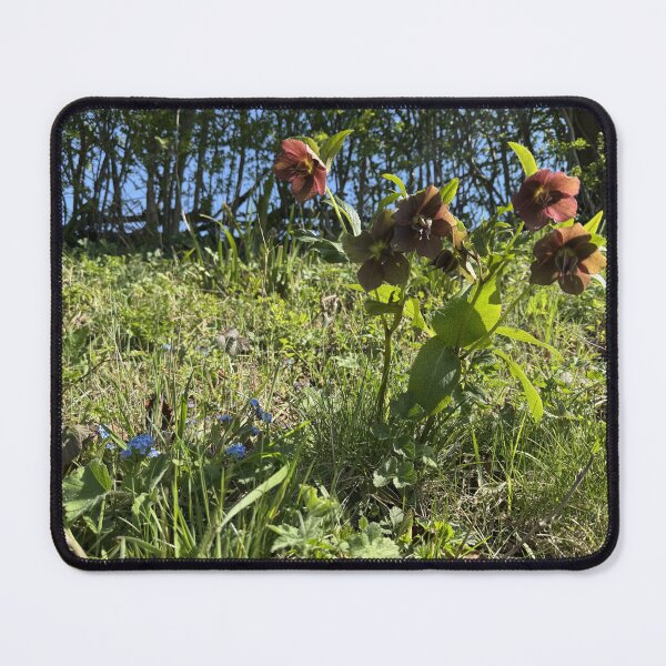 Item preview, Cotswold Countryside 41 designed and sold by Pretty Cotswold Designs.