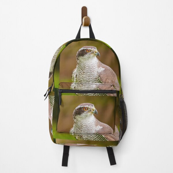 Item preview, Goshawk ready for action designed and sold by Dalyndigital Photography.