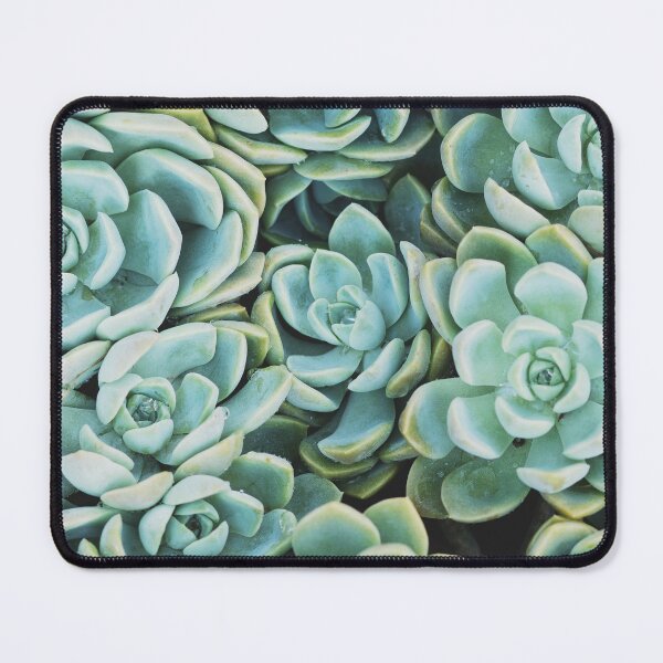 Item preview, Minimalist Pastel Turquoise Succulent Photo designed and sold by ReneJordaan.