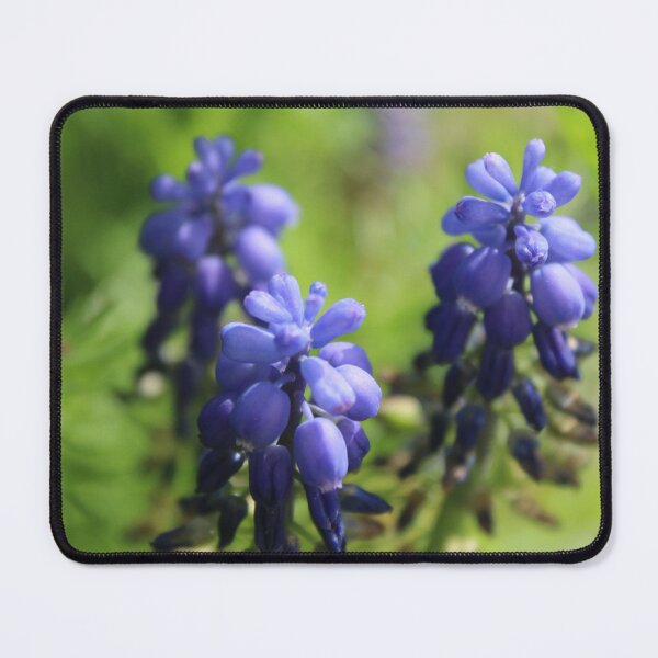 Item preview, Bluebell Dreams | Soft Focus Wildflower Photography designed and sold by Cha-s-lens.