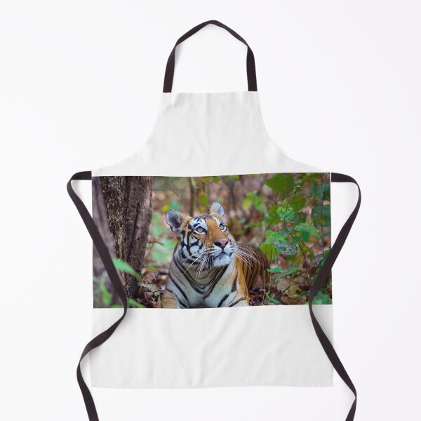 Item preview, Surprised Tiger Looking Up in Forest designed and sold by fact-stick.