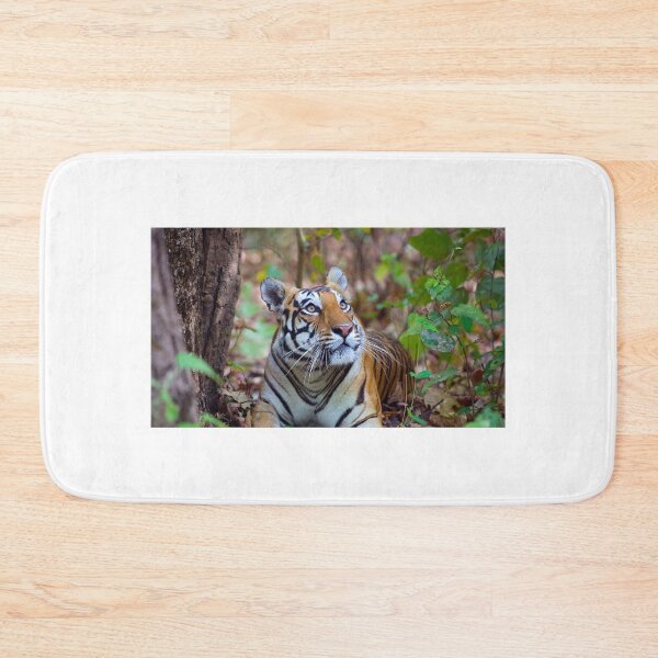 Item preview, Surprised Tiger Looking Up in Forest designed and sold by fact-stick.