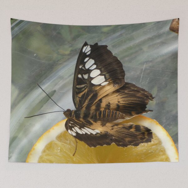 Item preview, Fascination butterfly - Light, light, air, summer designed and sold by lyartgallery.