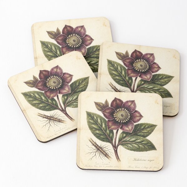 Item preview, Midnight Herbarium III – Black Hellebore designed and sold by Roberta Calabrese.